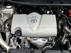 Xe Toyota Vios 1.5G 2019