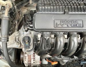 Xe Honda City 1.5 2019