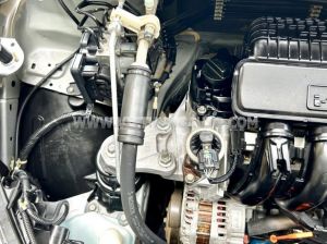 Xe Honda City 1.5 2019