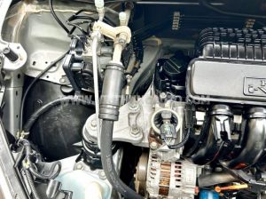 Xe Honda City 1.5 2019